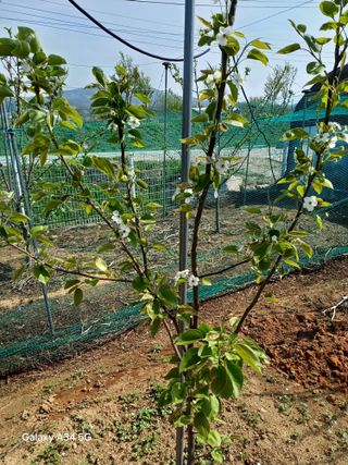 최진오님의 기타작물 · 영농일지 작성글 사진