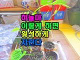 팜모닝 기타작물·영농일지 게시글 이미지