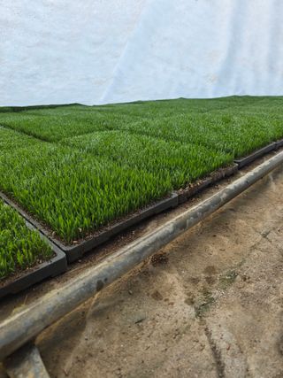 리짱님의 벼 · 영농일지 작성글 사진