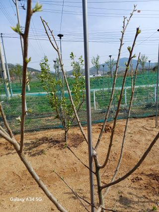 최진오님의 기타작물 · 영농일지 작성글 사진