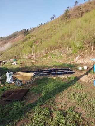 나사흠님의 기타작물 · 영농일지 작성글 사진