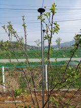 팜모닝 기타작물·영농일지 게시글 이미지