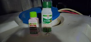 김용희님의 자두 · 영농일지 작성글 사진