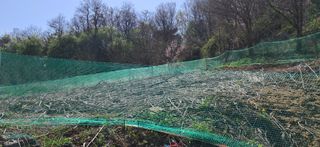 이복길님의 파 · 영농일지 작성글 사진