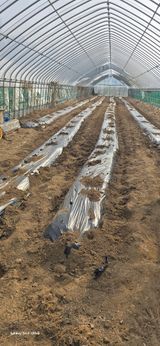 팜모닝 기타작물·영농일지 게시글 이미지