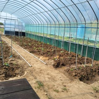 식만동 복합영농님의 기타작물 · 영농일지 작성글 사진