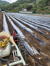 팜모닝 기타작물·영농일지 게시글 이미지