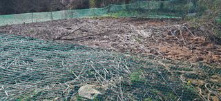 이복길님의 파 · 영농일지 작성글 사진