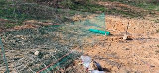 이복길님의 파 · 영농일지 작성글 사진