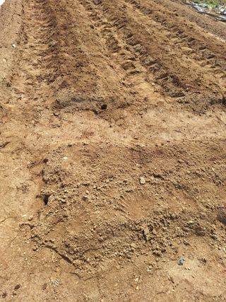 마늘25328님의 기타작물 · 영농일지 작성글 사진