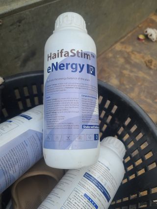 홍승하님의 기타작물 · 영농일지 작성글 사진