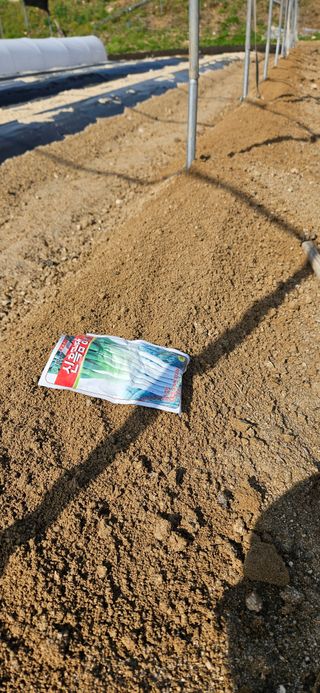 토성님의 기타작물 · 영농일지 작성글 사진