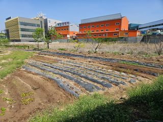 김영규님의 기타작물 · 영농일지 작성글 사진