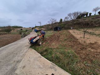 김영진님의 기타작물 · 영농일지 작성글 사진