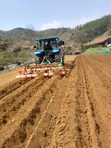 팜모닝 기타작물·영농일지 게시글 이미지