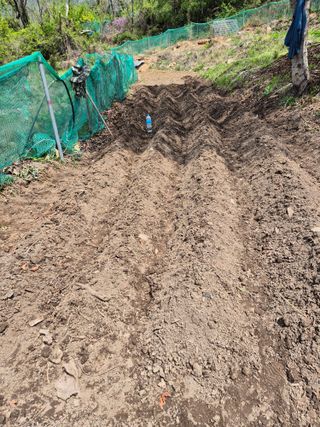 진문거사님의 기타작물 · 영농일지 작성글 사진