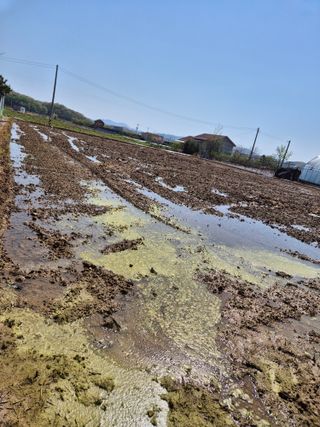 곰새끼님의 기타작물 · 영농일지 작성글 사진