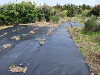 한재범님의 기타작물 · 영농일지 작성글 사진
