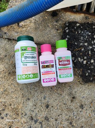 김영암님의 기타작물 · 영농일지 작성글 사진