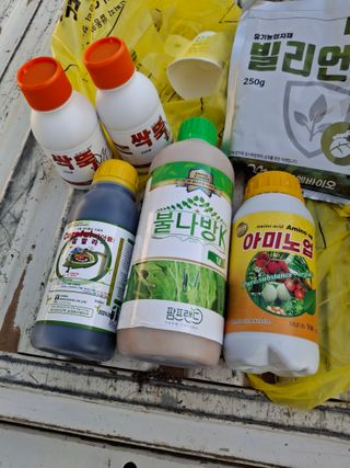 김형준님의 파 · 영농일지 작성글 사진