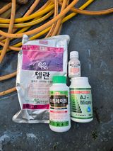 팜모닝 복숭아·영농일지 게시글 이미지