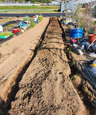 스마일00님의 기타작물 · 영농일지 작성글 사진