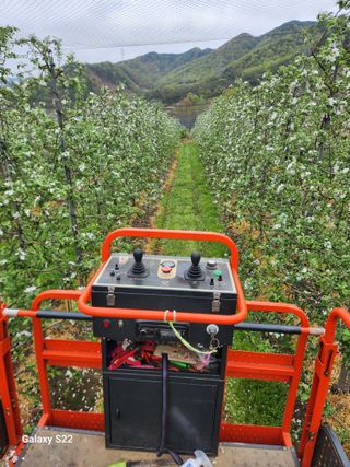 김영암님의 기타작물 · 영농일지 작성글 사진