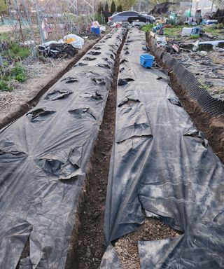 스마일00님의 기타작물 · 영농일지 작성글 사진