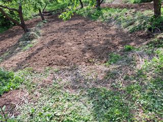 산중과실님의 기타작물 · 영농일지 작성글 사진