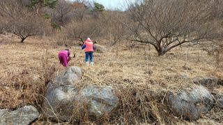 이순기님의 기타작물 · 영농일지 작성글 사진