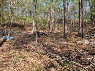 이성수님의 기타작물 · 영농일지 작성글 사진