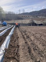 팜모닝 기타작물·영농일지 게시글 이미지