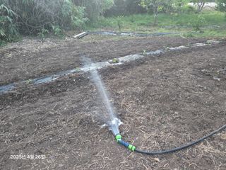 Captain김상곤님의 호박 · 영농일지 작성글 사진