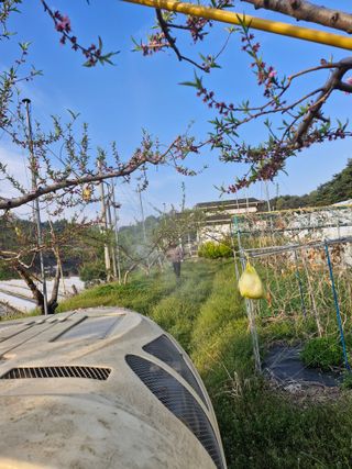 백운농원 님의 기타작물 · 영농일지 작성글 사진