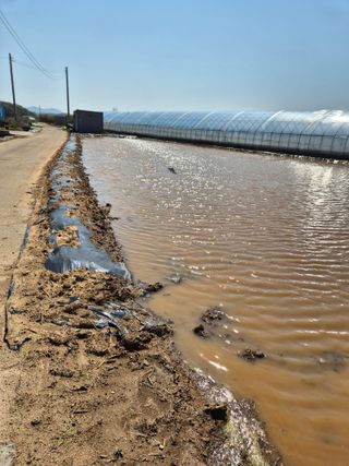 곰새끼님의 기타작물 · 영농일지 작성글 사진