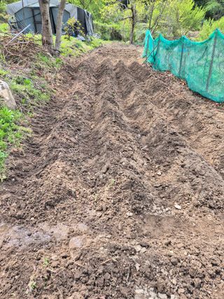 진문거사님의 기타작물 · 영농일지 작성글 사진