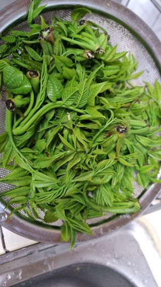 김지철님의 기타작물 · 영농일지 작성글 사진