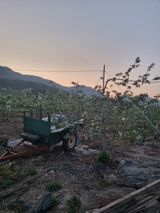 팜모닝 기타작물·영농일지 게시글 이미지