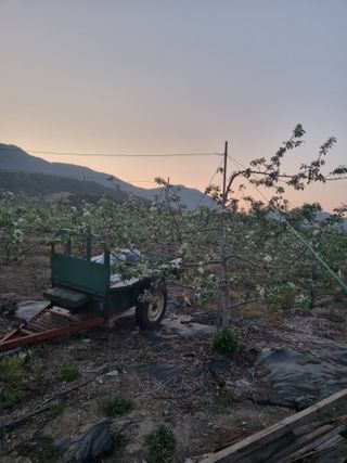 조도제님의 기타작물 · 영농일지 작성글 사진
