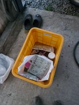 팜모닝 기타작물·영농일지 게시글 이미지