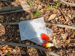 이성수님의 기타작물 · 영농일지 작성글 사진