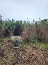 팜모닝 기타작물·영농일지 게시글 이미지