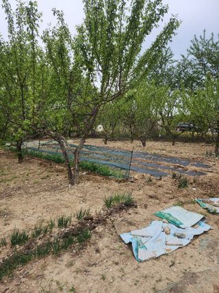 두릅나무님의 기타작물 · 영농일지 작성글 사진