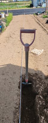 팜모닝 기타작물·영농일지 게시글 이미지