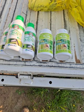 김형준님의 파 · 영농일지 작성글 사진