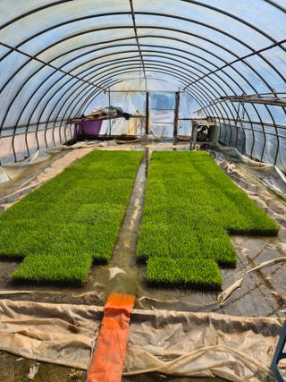 곰새끼님의 기타작물 · 영농일지 작성글 사진