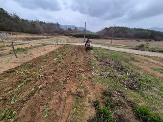 김영진님의 기타작물 · 영농일지 작성글 사진