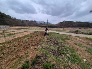 김영진님의 기타작물 · 영농일지 작성글 사진