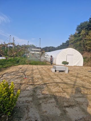 백운농원 님의 기타작물 · 영농일지 작성글 사진