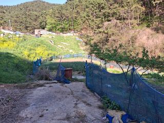 산중과실님의 기타작물 · 영농일지 작성글 사진